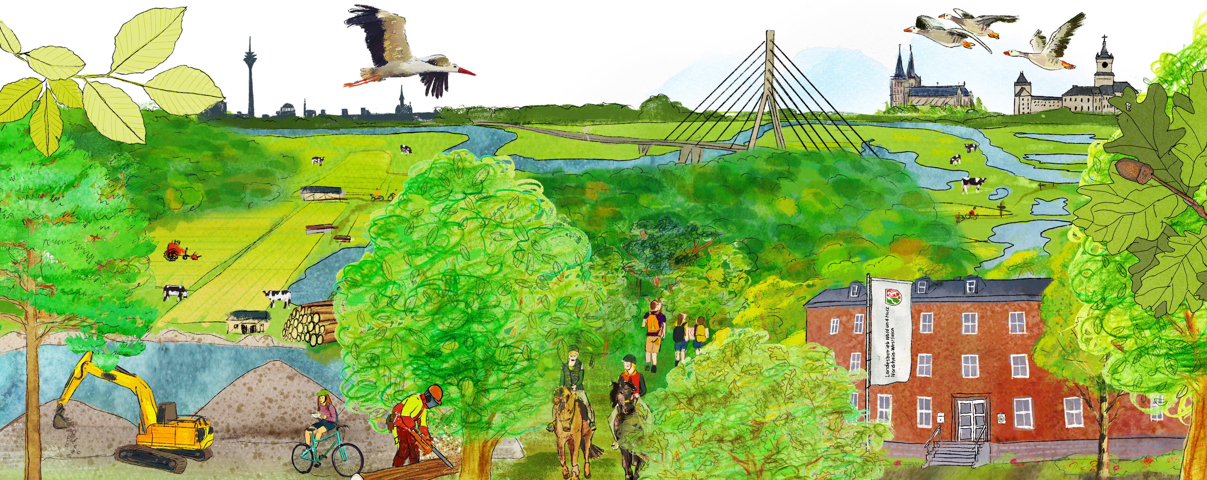 Die gezeichnete Collage zeigt den Wald mit verschiedenen Baumarten, verschiedene Landmarken, Försterinnen, Förstern und Forstwirt bei der Arbeit und typische Tiere wie etwa Gänse.